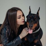 user-avater